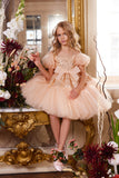 Special Occasion Girl Dress In Sequin Tulle Above The Knee Pageant Party Dress