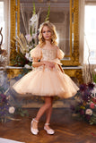 Special Occasion Girl Dress In Sequin Tulle Above The Knee Pageant Party Dress