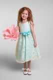 Sleeveless Organza Girls Special Occasion  Party Dress