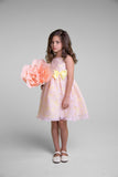 Sleeveless Organza Girls Special Occasion  Party Dress