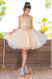 Girls Illusion Beauty Pageant Glitter Tulle Beaded Embroidered Short Dress