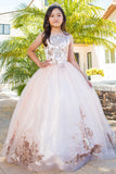 Mini Quince Princess Flower Girl Pageant Floral Embroidered Illusion Party Gown