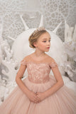 Wedding Birthday Party Flower Girl Dress Tulle Special Occasion Girl Dress