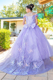 Girls Mini Quince Flower Girl Pageant 3D Floral Embroidered Glitter Tulle Gown